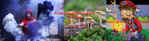 МДПВ Алзамай