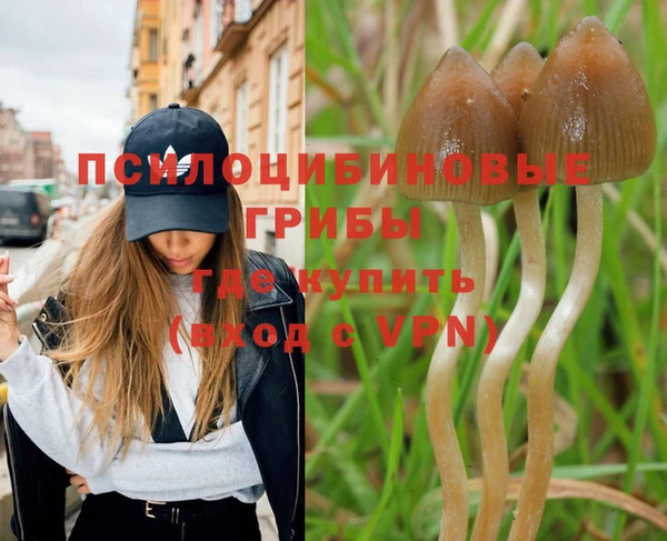 дживик Алексеевка