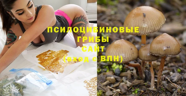 кокаин колумбия Алексин