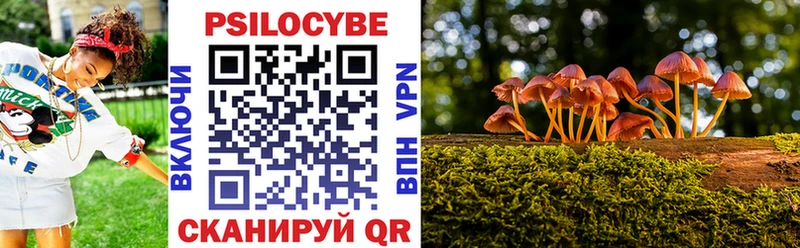 Псилоцибиновые грибы мухоморы  Кизилюрт 